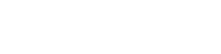 Bluewey Studio